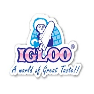 Igloo